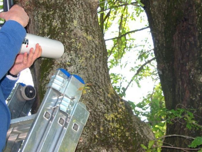 Archisio - Lo Studio Botanico - Progetto Progetto 3