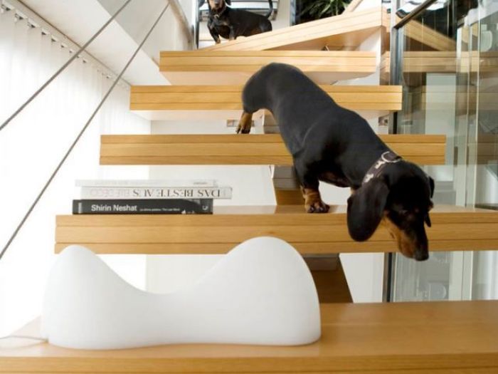 Archisio - Mariani Design - Progetto Casa contemporanea