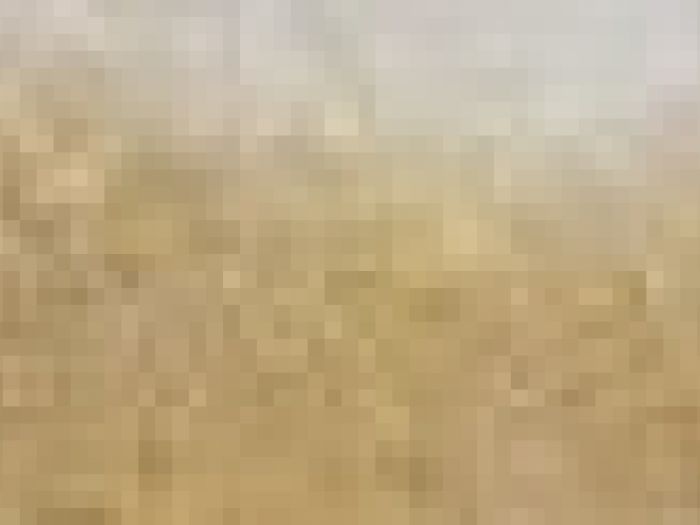 Archisio - Payanini The Stone Brand - Progetto Payanini