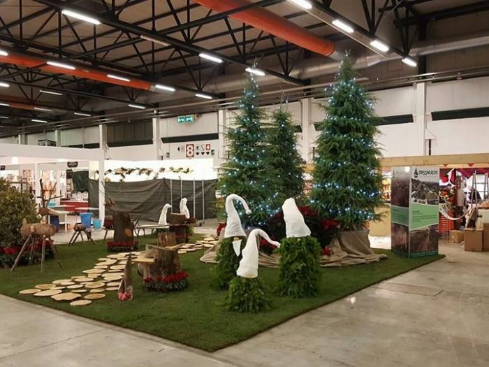 Archisio - Massarroni - Vivai Piante - Garden - Progetto Vivai e piante