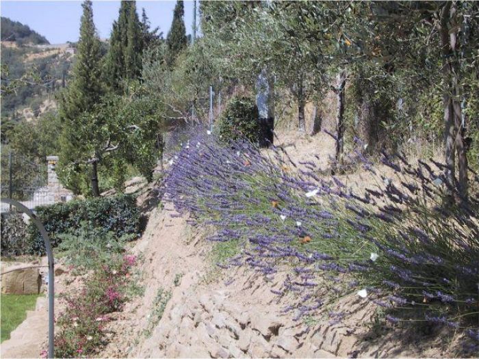 Archisio - Francesca Bertini - Progetto Villa maciranotta