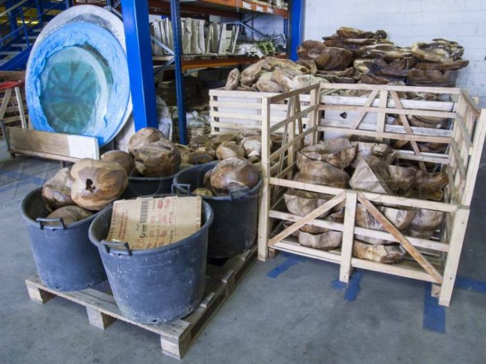 Archisio - Bambu Design - Progetto Stock e magazzino