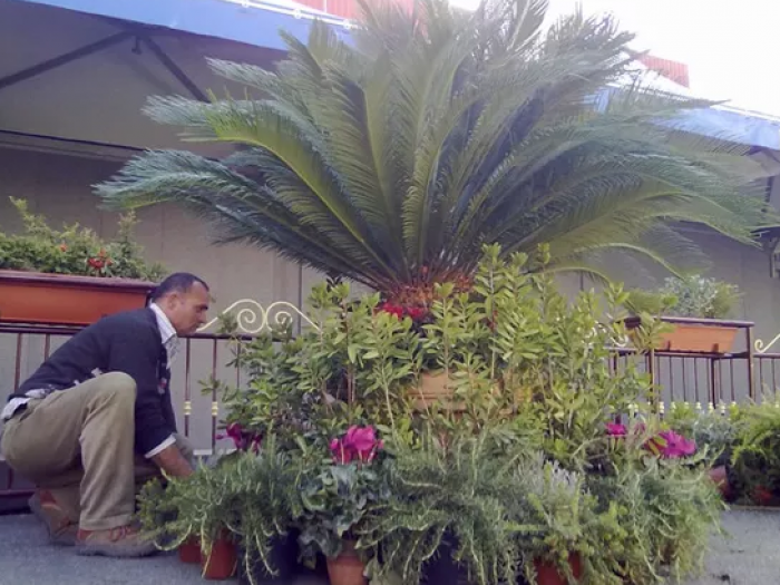 Archisio - Verdein Ss - Progetto Arredamento fiera