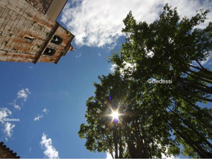 Archisio - Puntofoto Multimedia - Progetto Servizi fotografici