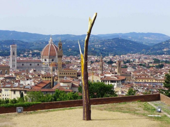 Archisio - Zeno Pucciarchitects - Progetto Mostra prospettiva vegetale giuseppe penone