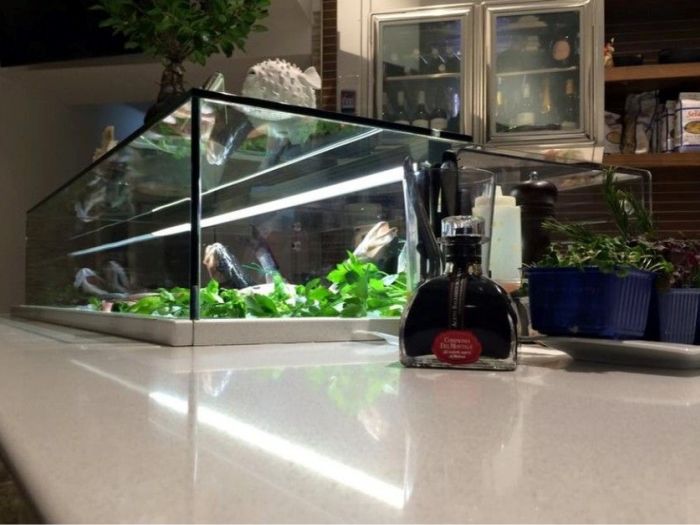 Archisio - Verafrigor - Progetto Mares pesca