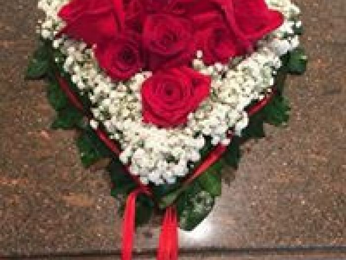 Archisio - Prafiori - Progetto Fiori