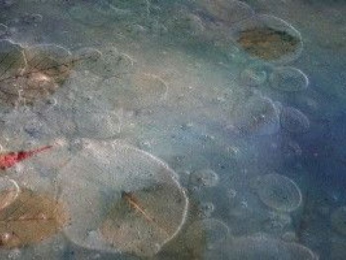 Archisio - Manipolabo - Progetto Opere