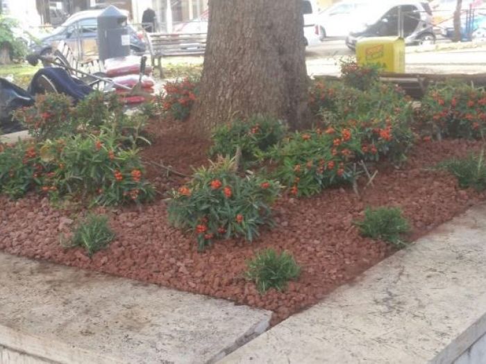 Archisio - Laandcr Giardinaggio - Progetto Derattizzazione