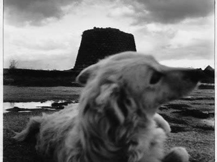 Archisio - Fotografi-dariocoletti - Progetto Foto