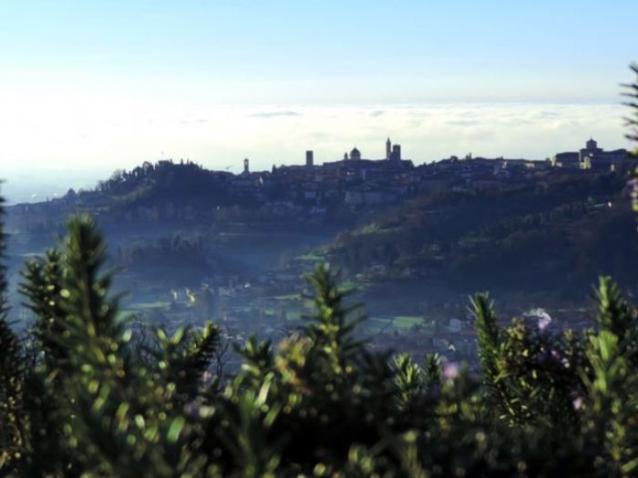 Archisio - Rizzi Giardini - Progetto Riqualificazione spazi esterni di un agriturismo in collina