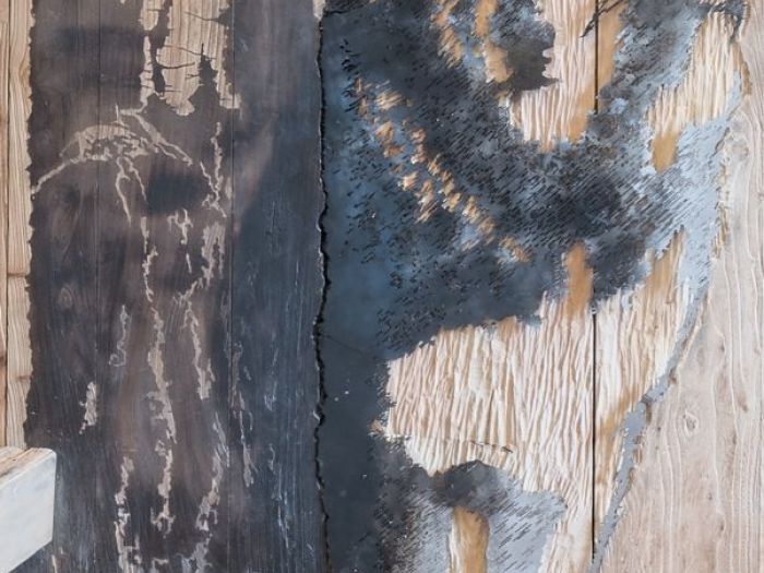 Archisio - Studio Cc - Progetto Bosco del lupo