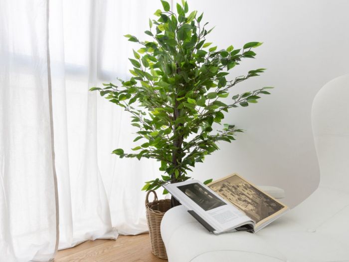 Archisio - Cristian Deklic Photography - Progetto Bb via diaz