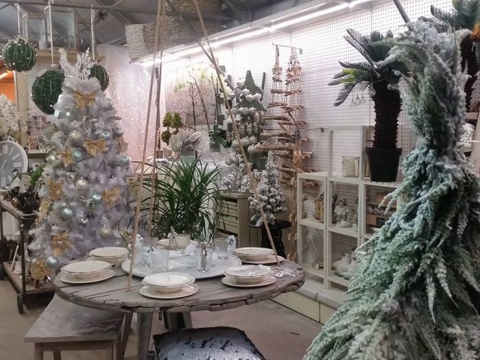 Archisio - Massarroni - Vivai Piante - Garden - Progetto Vivai e piante