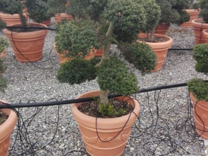 Archisio - Verdein Ss - Progetto Arredamento fiera