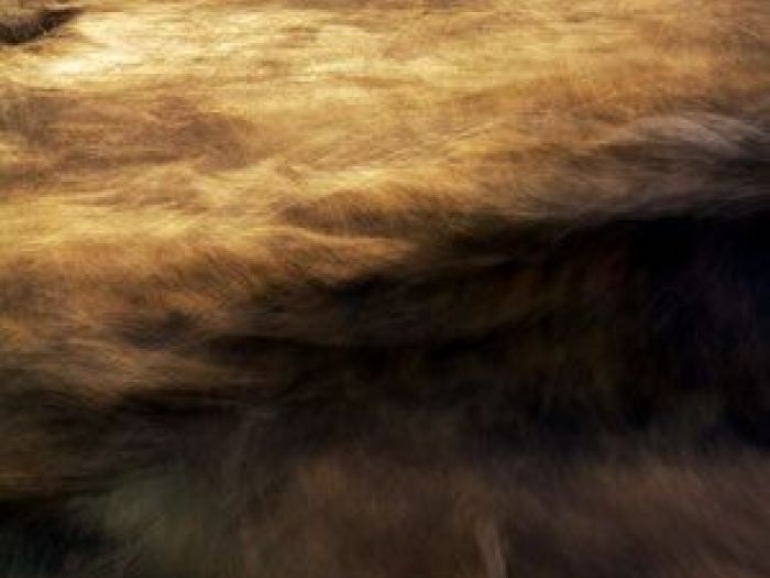 Archisio - Nico Marziali - Progetto Vaticano e il mare