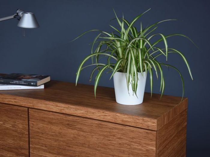 Archisio - Ebanisteria Cavallaro - Progetto Pronte