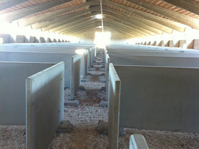 Archisio - Cavallara Impresa Edile - Progetto Realizzazione di immobili