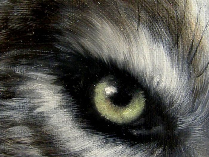 Archisio - Ornella Stingo - Progetto luna piena