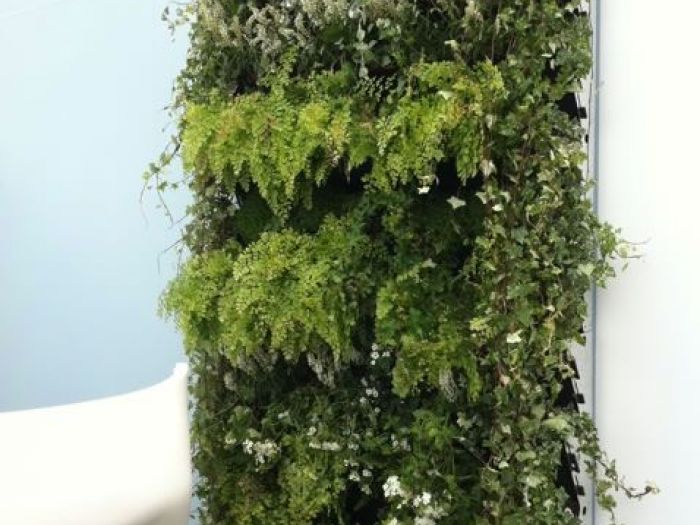 Archisio - Carlo Maria Maggia - Progetto Giardini