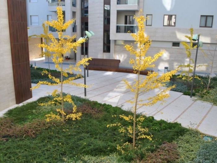 Archisio - Artenatura Vivai Saas - Progetto Realizzazione giardino condominiale