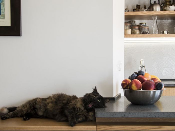 Archisio - Tonalite - Progetto Casa ostiense