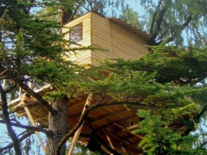 Archisio - Casalberi - Progetto Casetta tra gli alberi