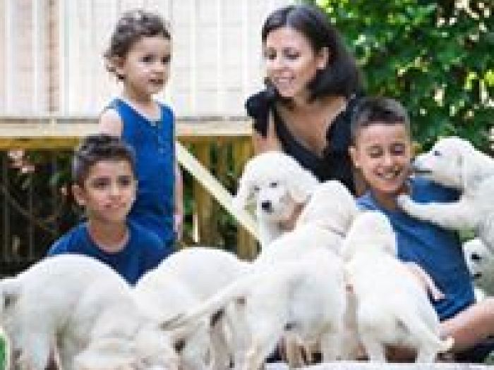 Archisio - My Baby Photo - Progetto Family photos