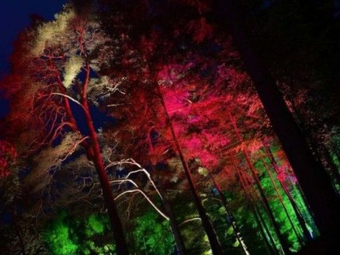 Archisio - Dotto Francesco Consulting Green - Progetto Parchiilluminazione parchi