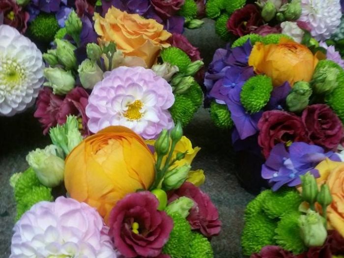 Archisio - Massarroni - Vivai Piante - Garden - Progetto Vivai e piante