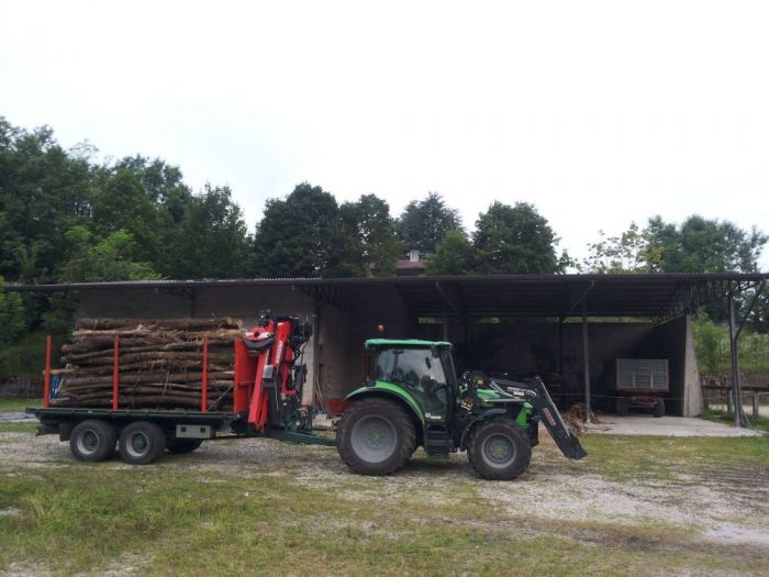 Archisio - Il Dottore Del Verde Di Bruno Barnaba - Progetto Utilizzazioni boschive