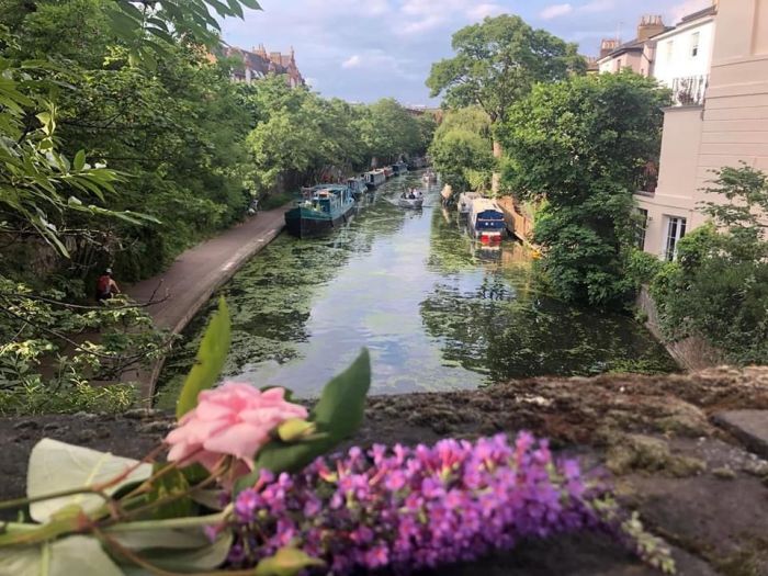 Archisio - Claudia Dibbe Piazza - Progetto Allinsegna di piet oudolf