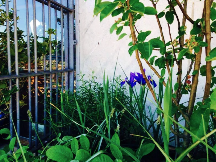 Archisio - Suingiardino Snc - Progetto Sogno di bambina