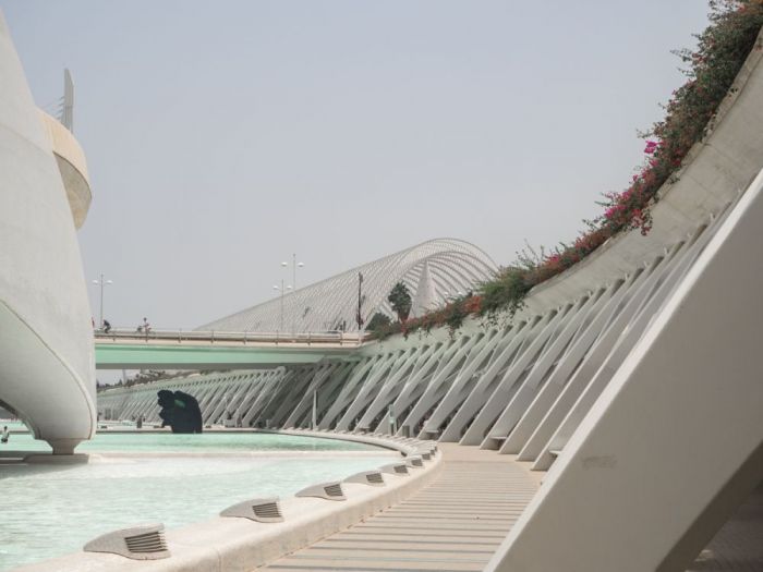 Archisio - Vittoria Fenati Morace - Progetto Valencia