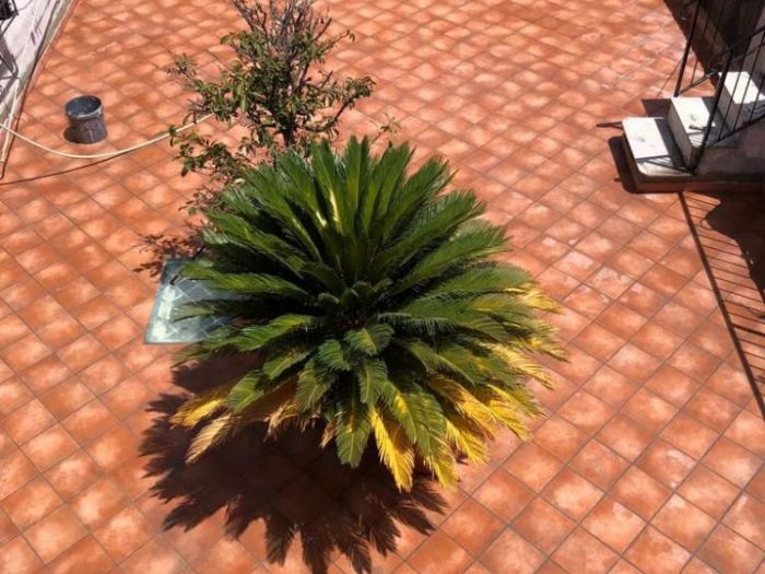 Archisio - Geometra Luigi Amato - Progetto Progettazione e direzione lavori impermeabilizzazione terrazzo impermeabilizzazione area intorno ai n2 lucernari