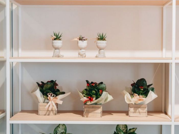 Archisio - 2310 Interior Designer - Progetto Fioreria