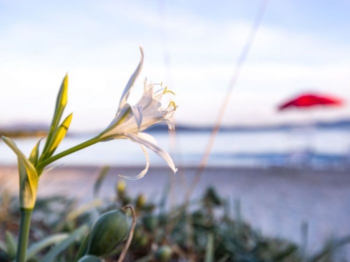 Archisio - Giuseppe Laiolo - Progetto Servizio fotografico in home staging