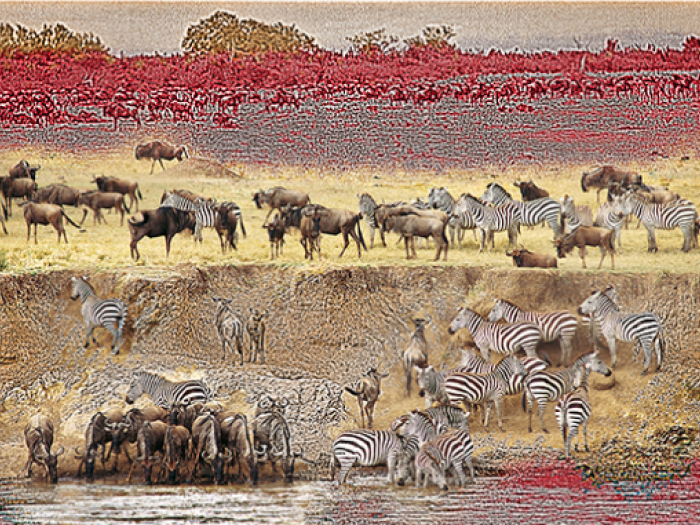 Archisio - Patrizia Savarese - Progetto Fotografia