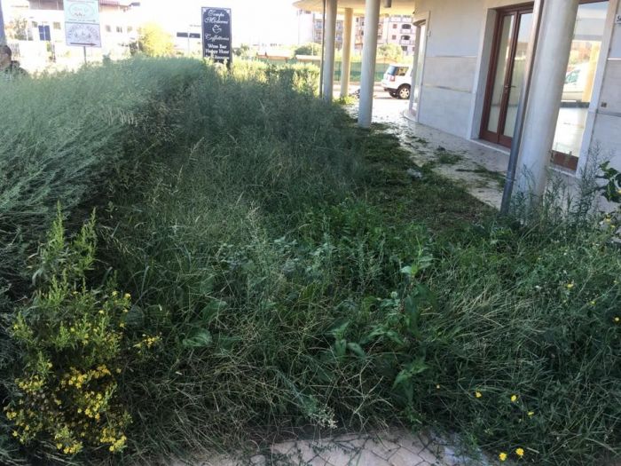 Archisio - Rocca Di Mezzo Srls - Progetto Siepi