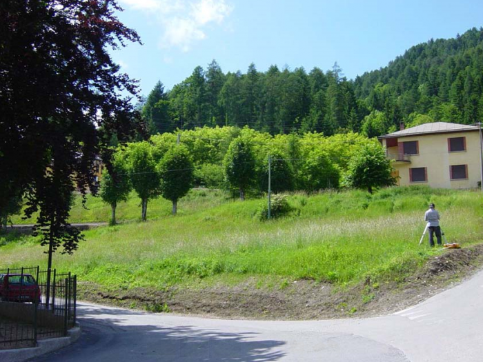 Archisio - Immobiliare Irsara srl - Progetto Valle di cadore belluno