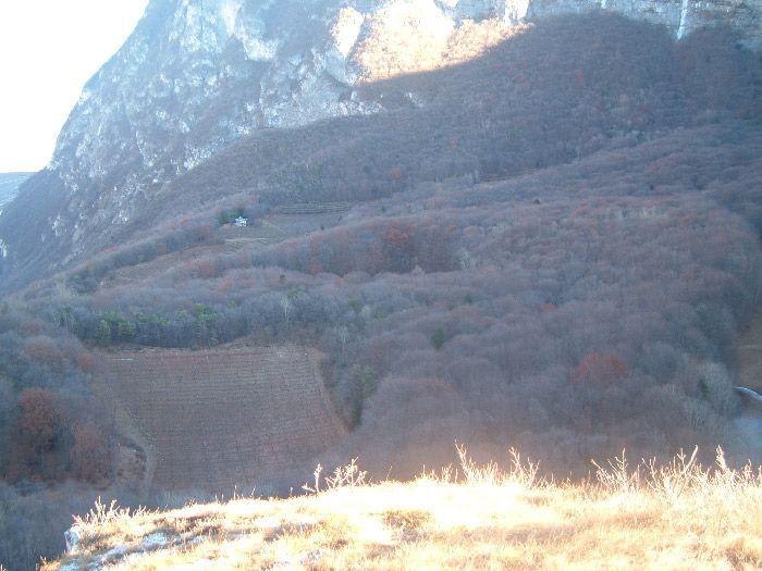 Archisio - Amp Studio Architettura Progettazione Ambientale - Progetto Progettazione ambientale