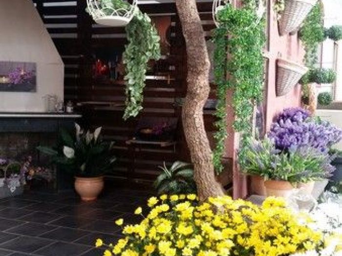 Archisio - Piante Macri - Progetto Il garden