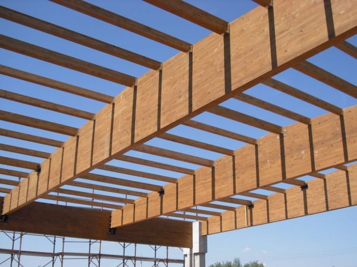 Archisio - Costruzioni Innovative - Progetto Bifalde