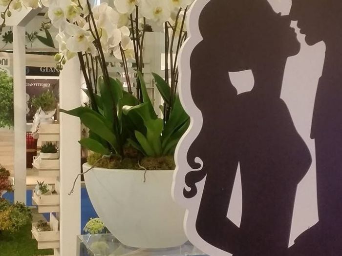 Archisio - Massarroni - Vivai Piante - Garden - Progetto Vivai e piante