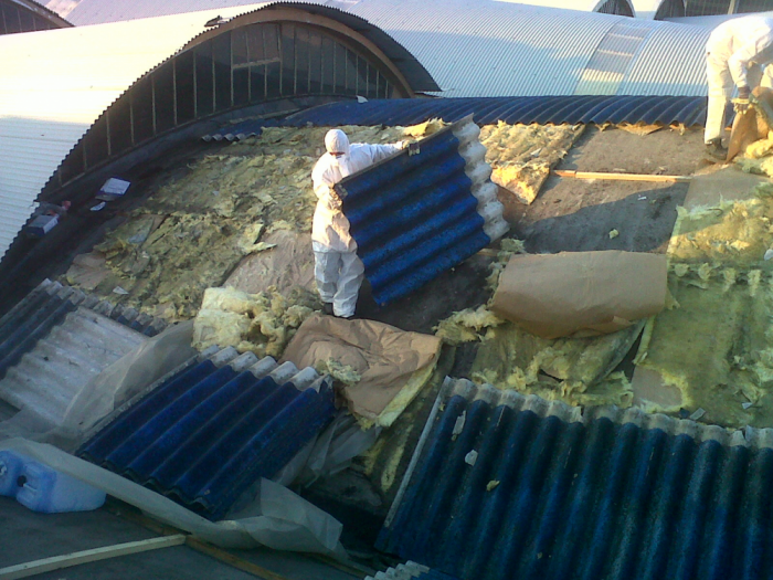 Archisio - Domus Costruzioni E Amianto - Progetto Bonifica amianto e coperture