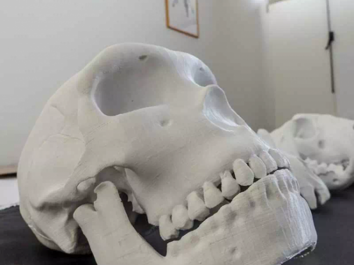 Archisio - Lab Giobbi - Progetto Fabbricazione digitale