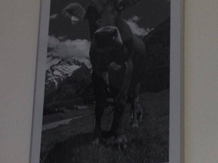 Archisio - Francesca Morano - Progetto Locale commerciale - progetto 9