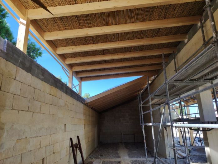 Archisio - Mattia Scolozzi - Progetto Palestra