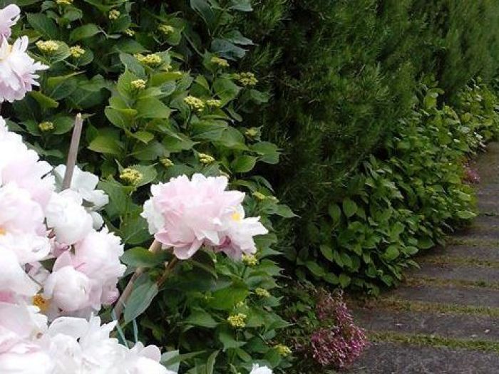 Archisio - Studio Viceconti - Progetto Elementi di arredo