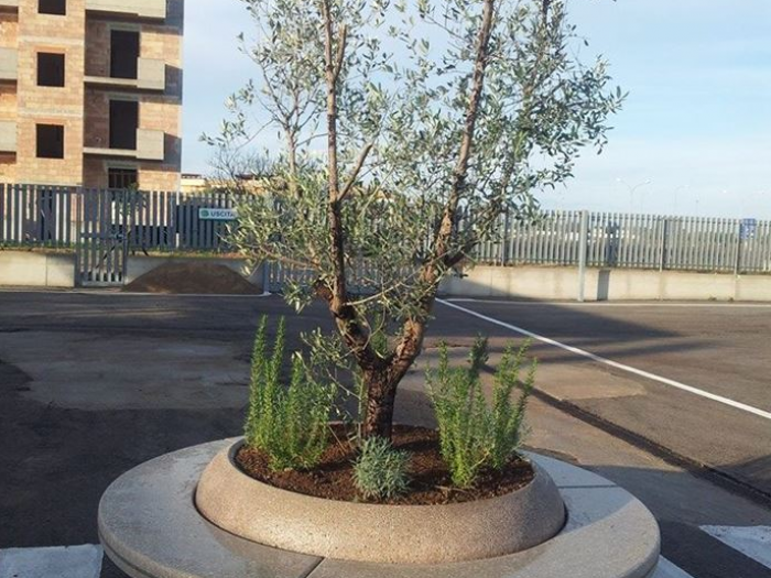 Archisio - Magda Giove - Progetto Isola ecologica san giorgio jonico ta